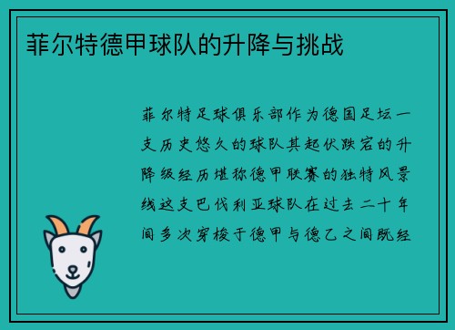 菲尔特德甲球队的升降与挑战